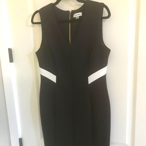 NEW, CALVIN KLEIN BLACK DRESS WITH WHITE ACCENT AND BACK GOLD ZIPPER